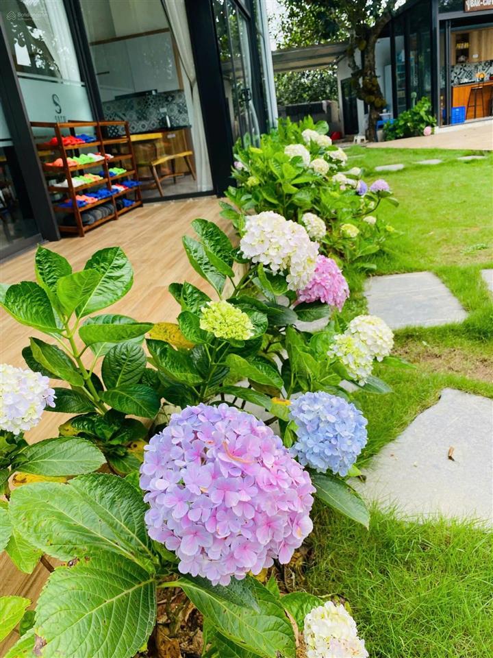 Bán khu nghỉ dưỡng siêu vip yên bài, vân hòa, ba vì