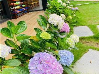 Bán khu nghỉ dưỡng siêu vip yên bài, vân hòa, ba vì