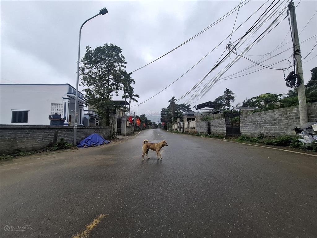 Bán đất tại xã yên bài, huyện ba vì, hà nội, 6,3 tỷ, 1100m2