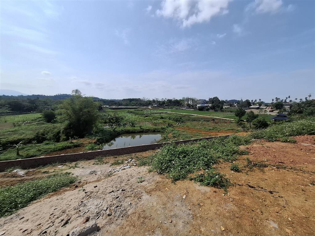 Bán đất tại xã ba trại, 12,5 tỷ, 4000 m2, pháp lý đầy đủ