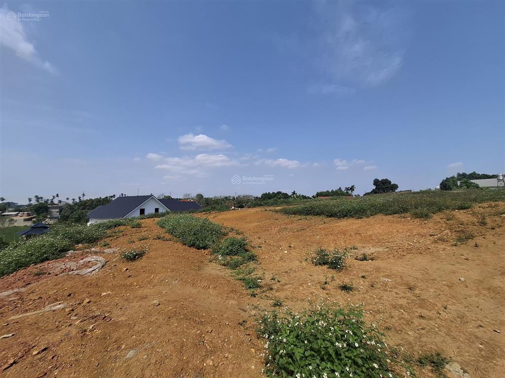 Bán đất tại xã ba trại, 12,5 tỷ, 4000 m2, pháp lý đầy đủ