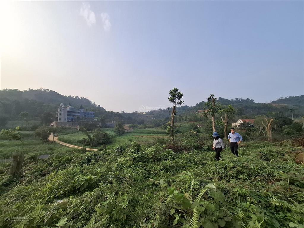 Bán đất lô góc 9600m2, 800m2 ont tại xã vân hòa, 38 tỷ vnd, mặt tiền 100m, view đẹp
