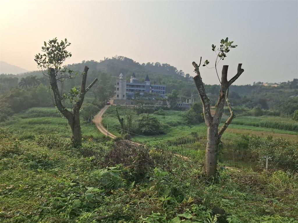Bán đất lô góc 9600m2, 800m2 ont tại xã vân hòa, 38 tỷ vnd, mặt tiền 100m, view đẹp