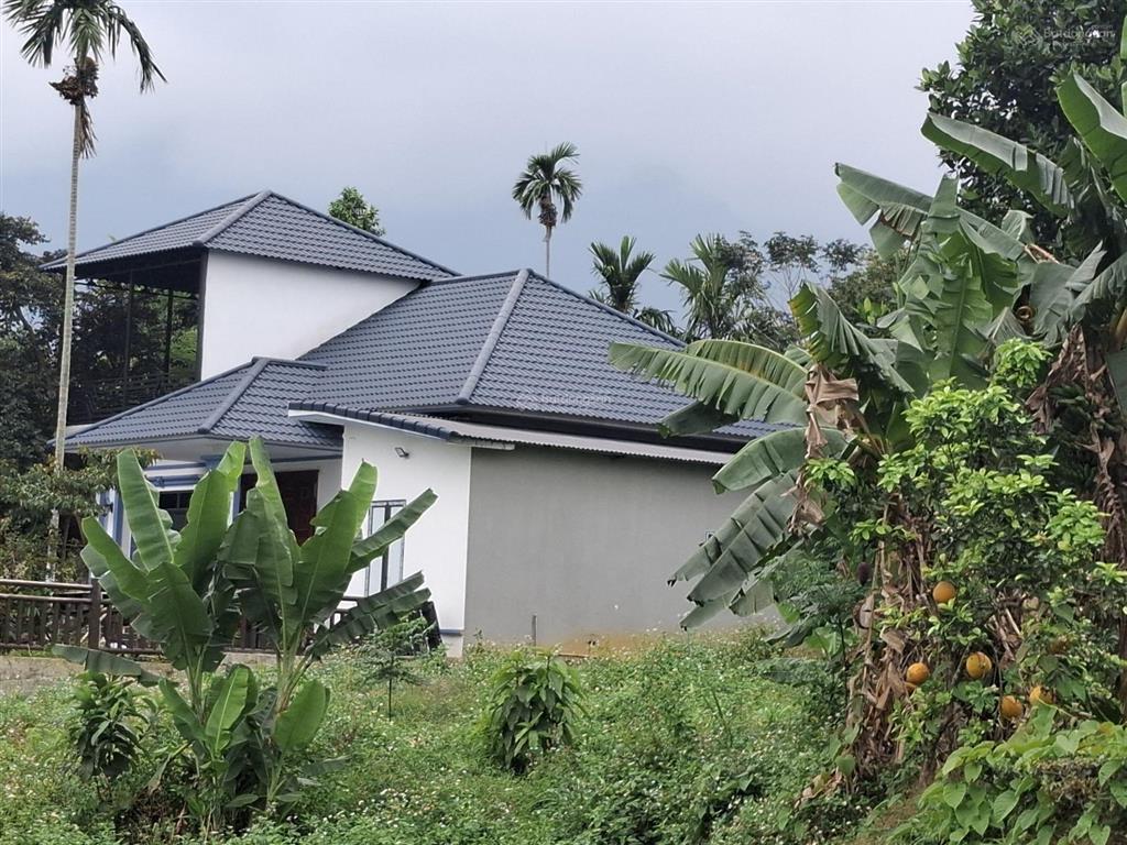 Bán đất tại đại lộ thăng long, 7,5 tỷ, 1000m2, xã yên bài, huyện ba vì