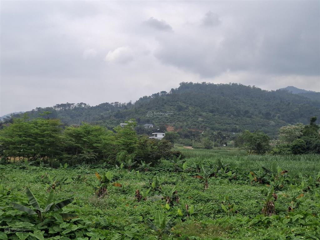 Bán đất tại đại lộ thăng long, 7,5 tỷ, 1000m2, xã yên bài, huyện ba vì