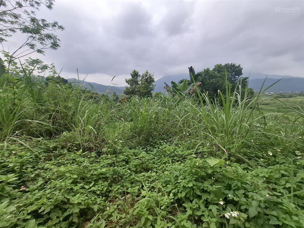 Bán đất tại đại lộ thăng long kéo dài, yên bài, ba vì, hà nội, 18,8 tỷ, 3500 m2, giá siêu hời