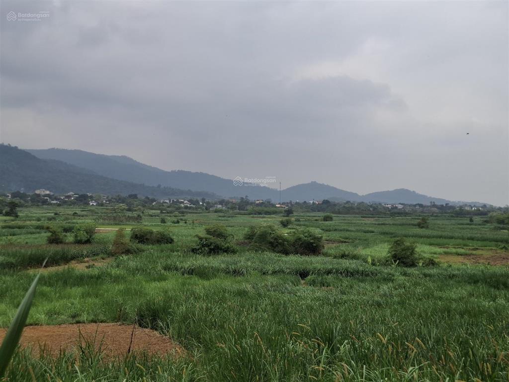 Bán đất tại đại lộ thăng long kéo dài, yên bài, ba vì, hà nội, 18,8 tỷ, 3500 m2, giá siêu hời