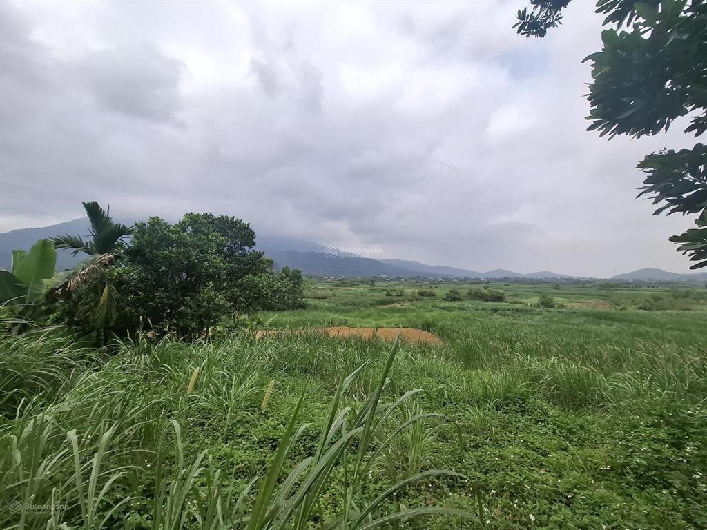 Bán đất tại đại lộ thăng long kéo dài, yên bài, ba vì, hà nội, 18,8 tỷ, 3500 m2, giá siêu hời