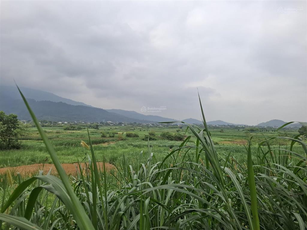 Bán đất tại đại lộ thăng long kéo dài, yên bài, ba vì, hà nội, 18,8 tỷ, 3500 m2, giá siêu hời