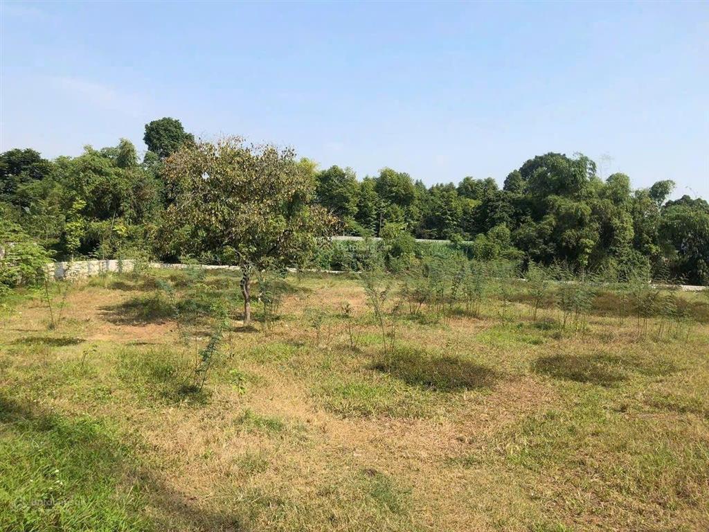 Siêu phẩm nghỉ dưỡng yên bài ba vì 2.728m2 400m2 đất ở bám suối cực đẹp, giá chỉ 5 triệu/m2