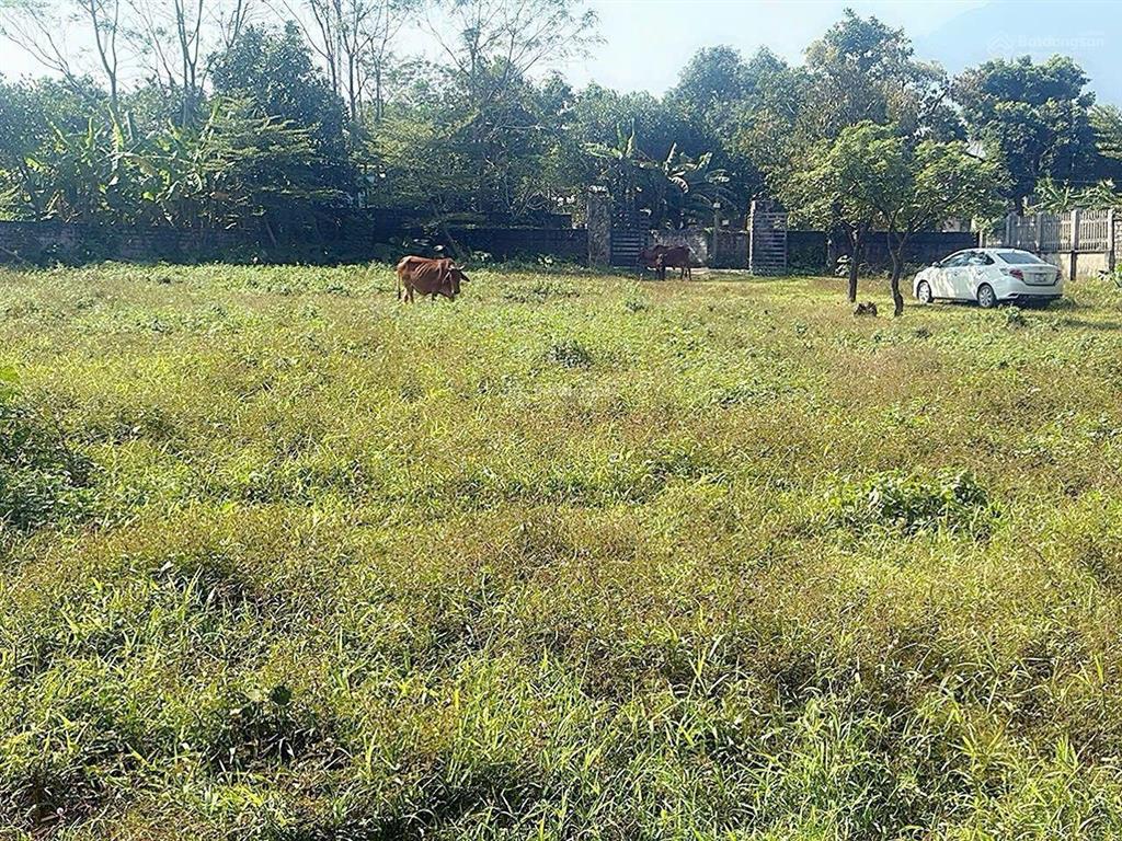 Siêu phẩm nghỉ dưỡng yên bài ba vì 2.728m2 400m2 đất ở bám suối cực đẹp, giá chỉ 5 triệu/m2