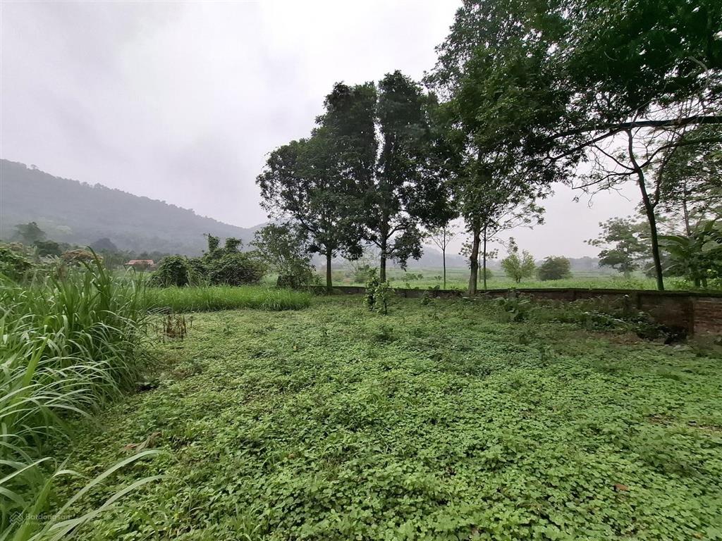 Siêu hot đất vân hòa, ba vì  siêu đẹp, 9898m2 giá tốt 38 tỷ