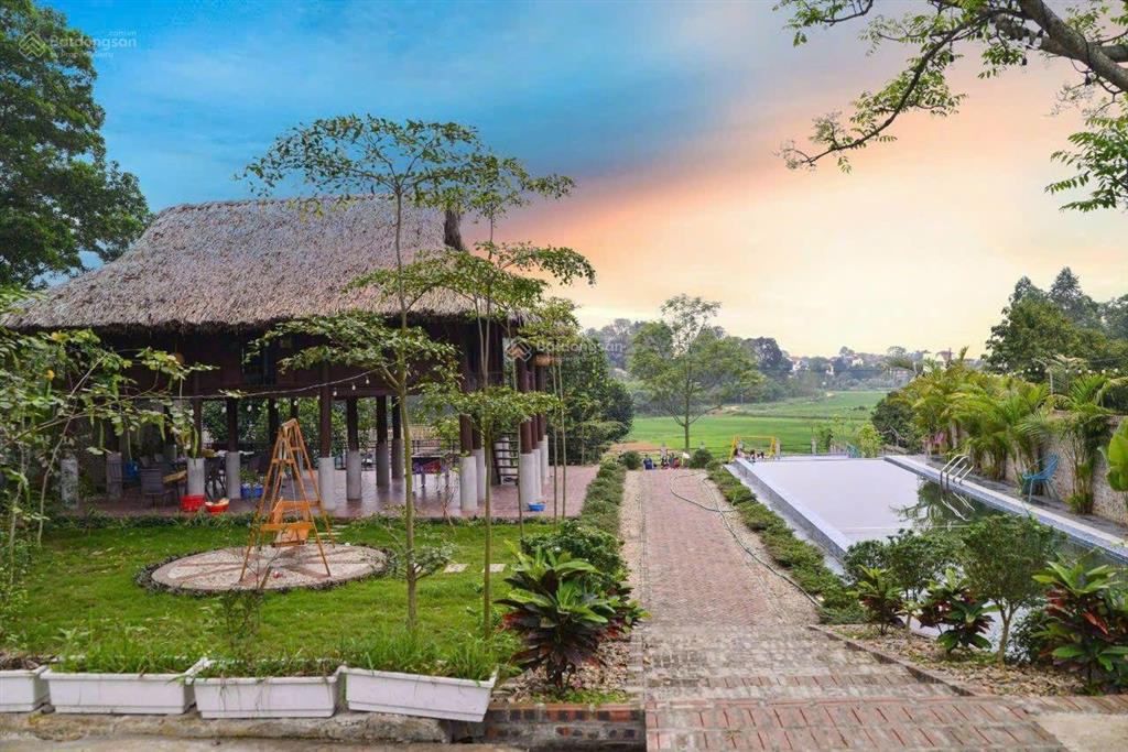Bán đất tặng nguyên khu homestay trung tâm ba vì chỉ 8,8 tỷ có ngay 2.715m2, 500m2 đất ở