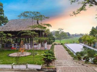 Bán đất tặng nguyên khu homestay trung tâm ba vì chỉ 8,8 tỷ có ngay 2.715m2, 500m2 đất ở