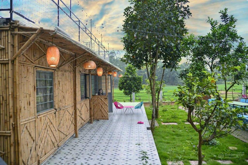 Bán đất tặng nguyên khu homestay trung tâm ba vì chỉ 8,8 tỷ có ngay 2.715m2, 500m2 đất ở