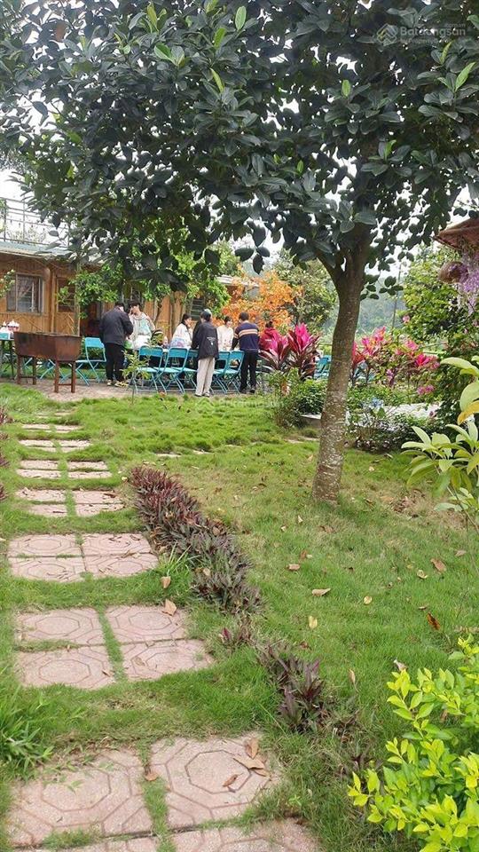 Bán đất tặng nguyên khu homestay trung tâm ba vì chỉ 8,8 tỷ có ngay 2.715m2, 500m2 đất ở