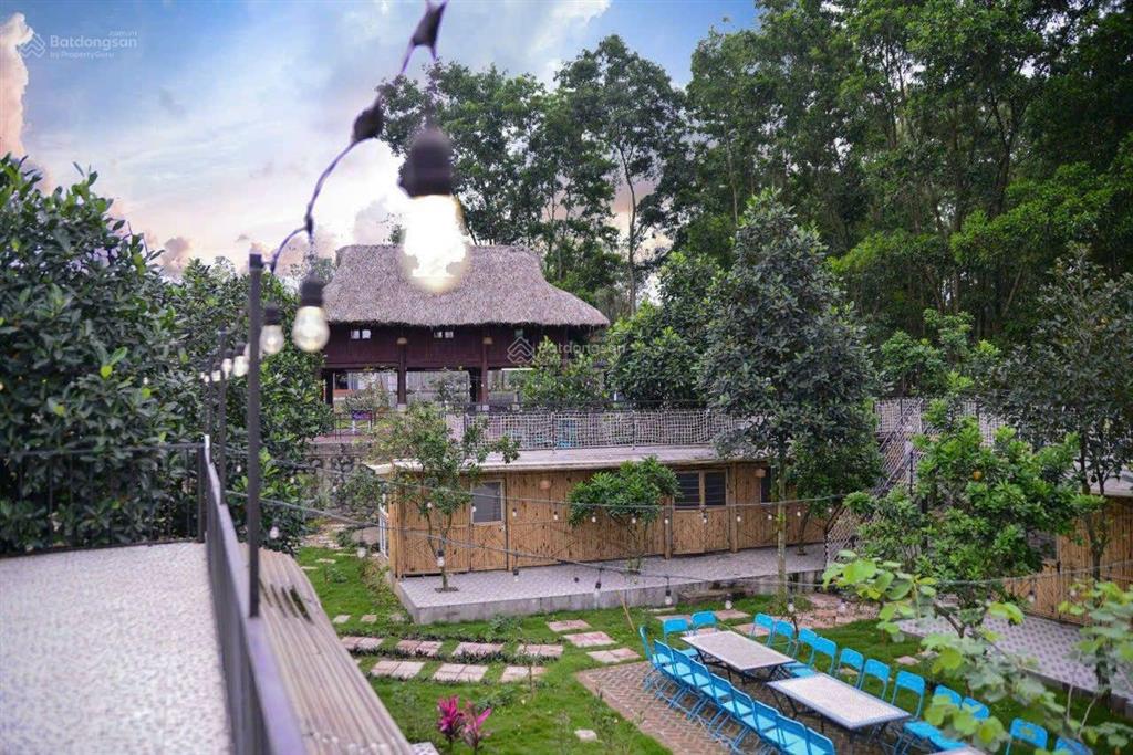 Bán đất tặng nguyên khu homestay trung tâm ba vì chỉ 8,8 tỷ có ngay 2.715m2, 500m2 đất ở