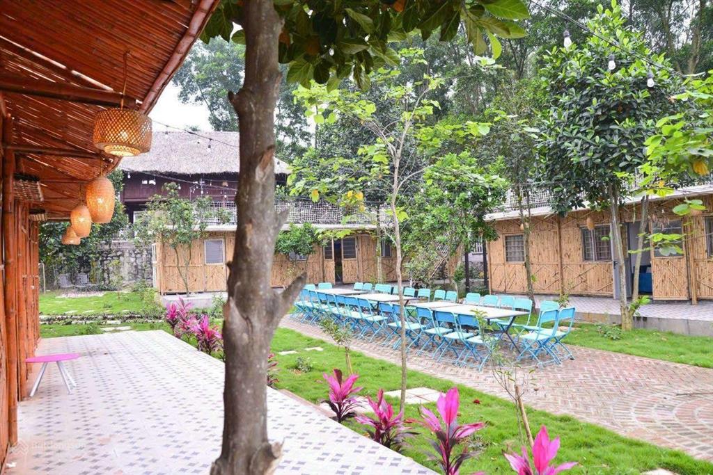 Bán đất tặng nguyên khu homestay trung tâm ba vì chỉ 8,8 tỷ có ngay 2.715m2, 500m2 đất ở