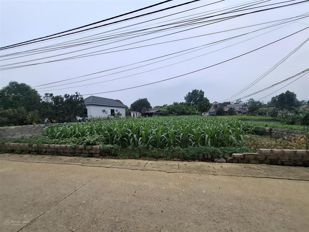 Bán 150m2 full đất ở giá 1ty750 yên bài ba vì | chỉ 1 lô duy nhất