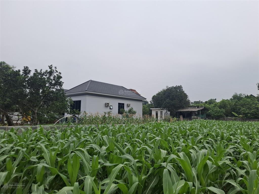 Bán 150m2 full đất ở giá 1ty750 yên bài ba vì | chỉ 1 lô duy nhất