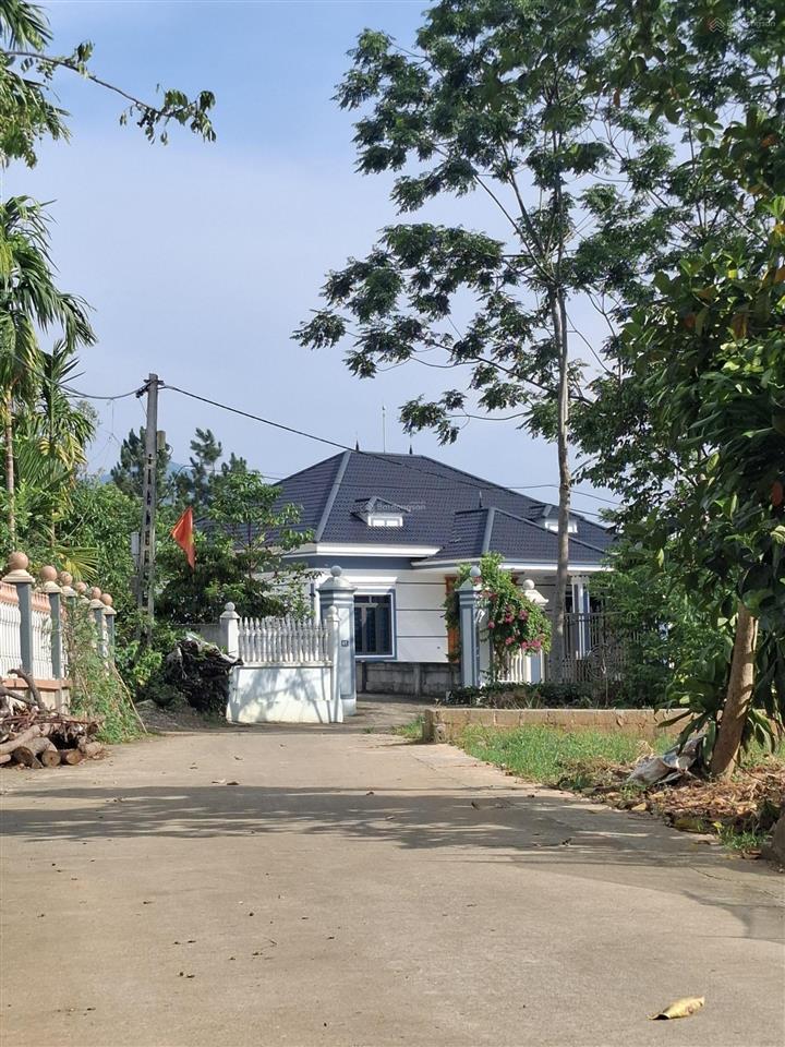 Chủ cần tiền bán gấp lô góc 579m2 có 300m2 tc, mặt tiền 28m, giá 3,7 tỷ, đất ở tại tản lĩnh, ba vì