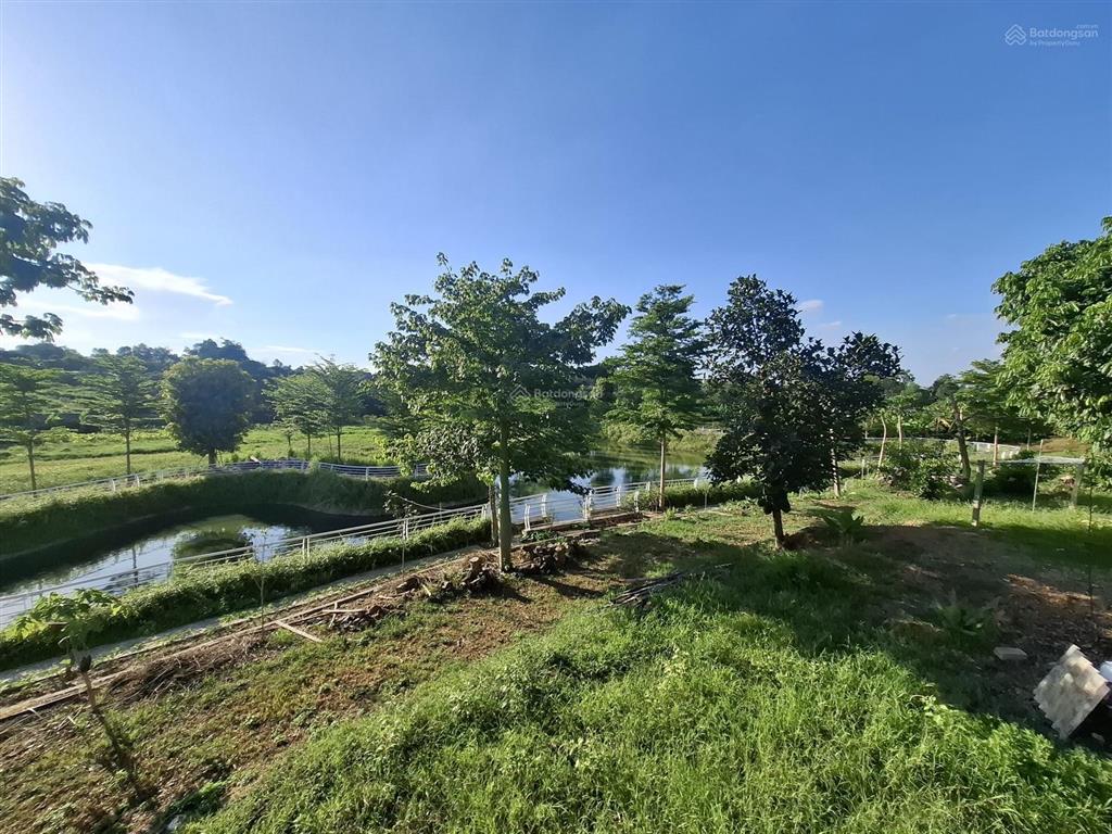Biệt phủ nhà gỗ quý trên khuôn viên 9.500m2 suối hai, hà nội, giá nhỉnh 20 tỷ