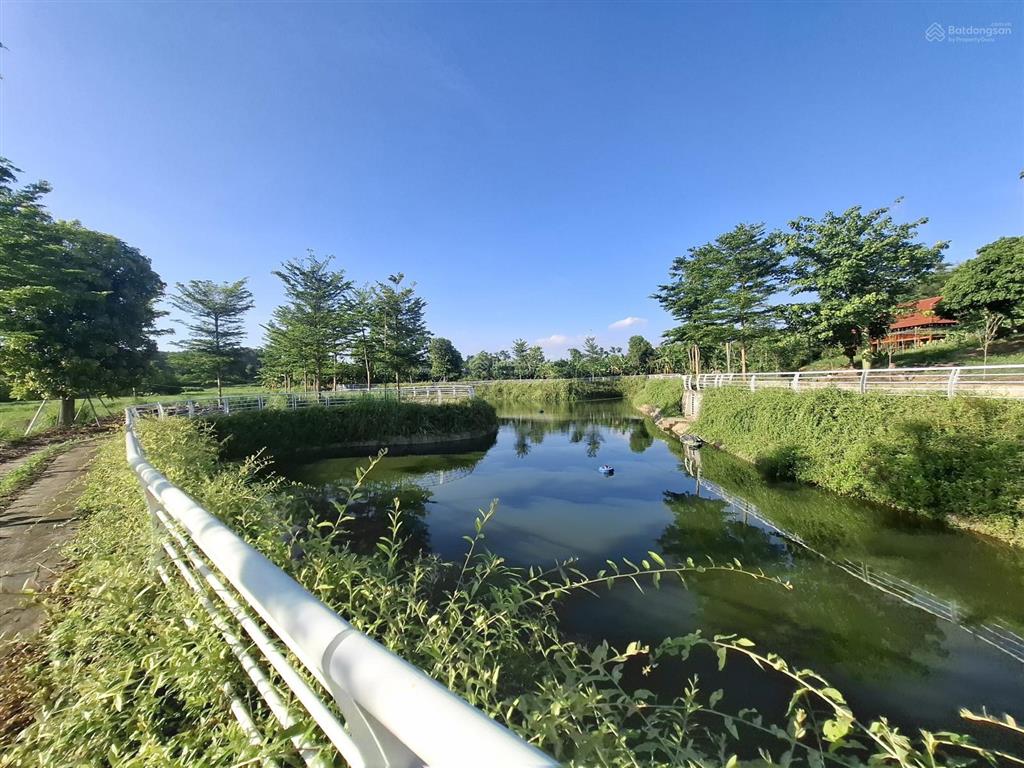 Biệt phủ nhà gỗ quý trên khuôn viên 9.500m2 suối hai, hà nội, giá nhỉnh 20 tỷ