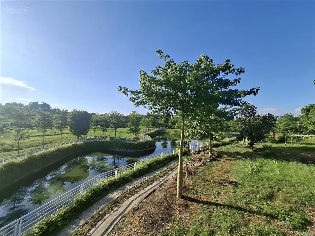 Biệt phủ nhà gỗ quý trên khuôn viên 9.500m2 suối hai, hà nội, giá nhỉnh 20 tỷ
