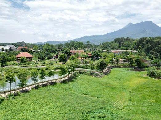 Biệt phủ nhà gỗ quý trên khuôn viên 9.500m2 suối hai, hà nội, giá nhỉnh 20 tỷ