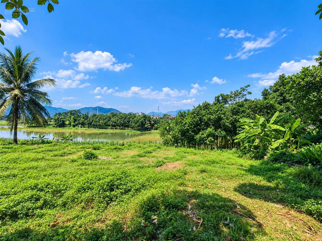 Bán 1.400m² đất trung tâm xã ba vì view hồ, đồng ruộng, núi đồi nhỉnh 2 tỷ