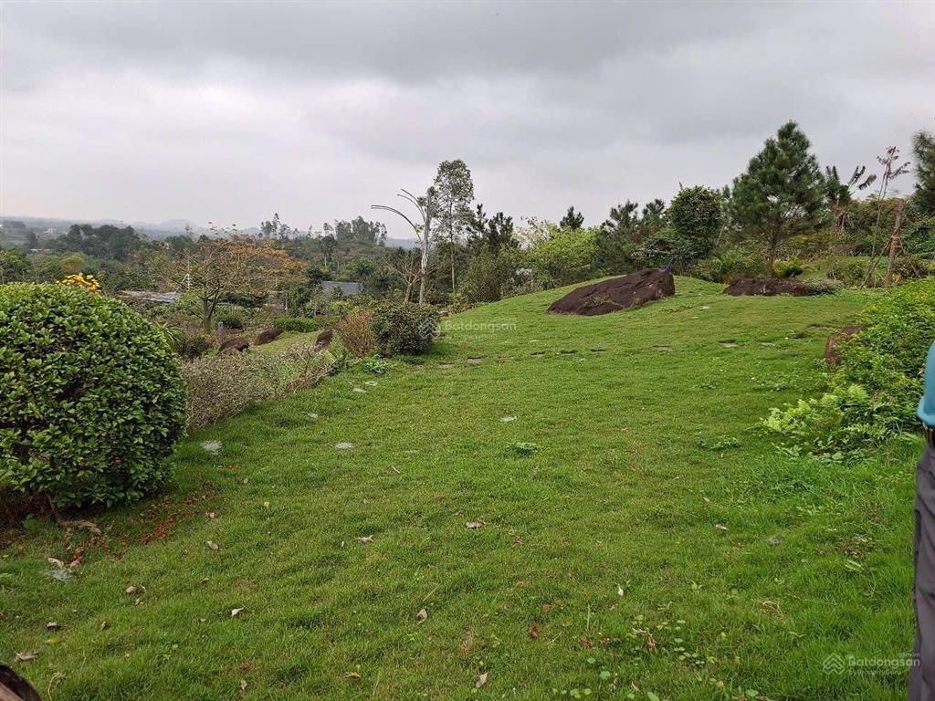 Bán đất nghỉ dưỡng 4,2ha view đẹp yên bài, ba vì
