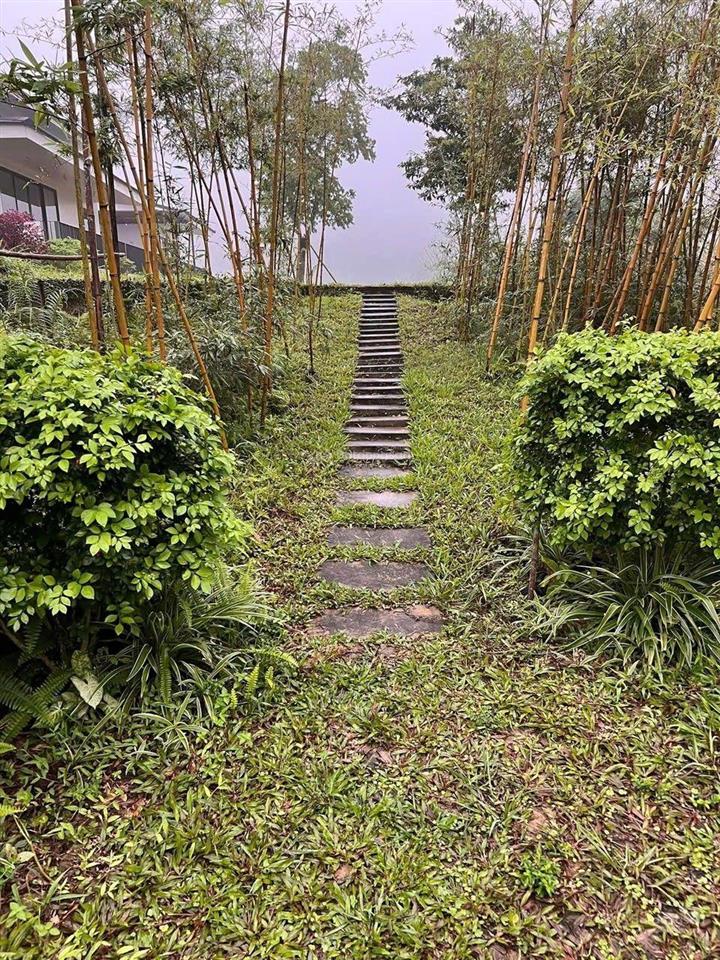 Siêu phẩm villa chân núi ba vì  yên bài hơn 2 triệu/m2, dt 5200m2