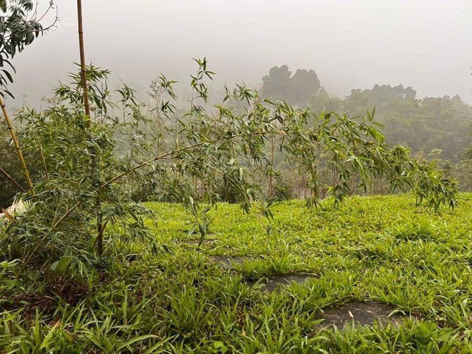 Siêu phẩm villa chân núi ba vì  yên bài hơn 2 triệu/m2, dt 5200m2