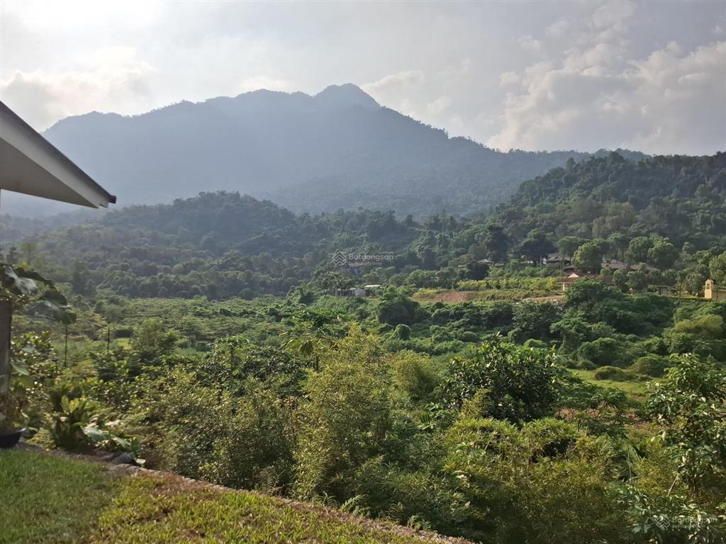 Bán trang trại, khu nghỉ dưỡng tại quốc lộ 32, ba vì, 5 tỷ, 1500 m2