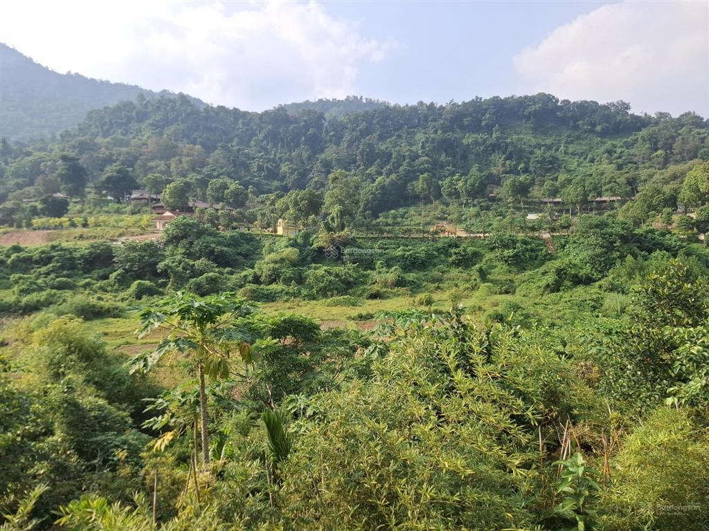Bán trang trại, khu nghỉ dưỡng tại quốc lộ 32, ba vì, 5 tỷ, 1500 m2