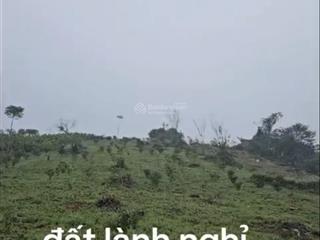 Tôi cần bán 3 sào đất nghỉ dưỡng sườn đồi, view núi,đã có sổ đỏ. giá chỉ 2.75 tỷ