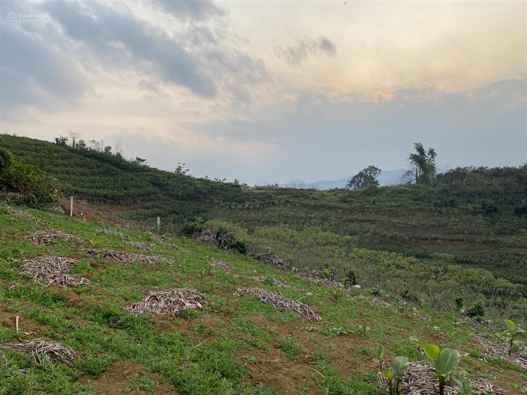 Siêu phẩm nghỉ dưỡng 2730m2 tại minh quang. hàng hiếm có, khó xuất hiện lần hai (có ảnh)