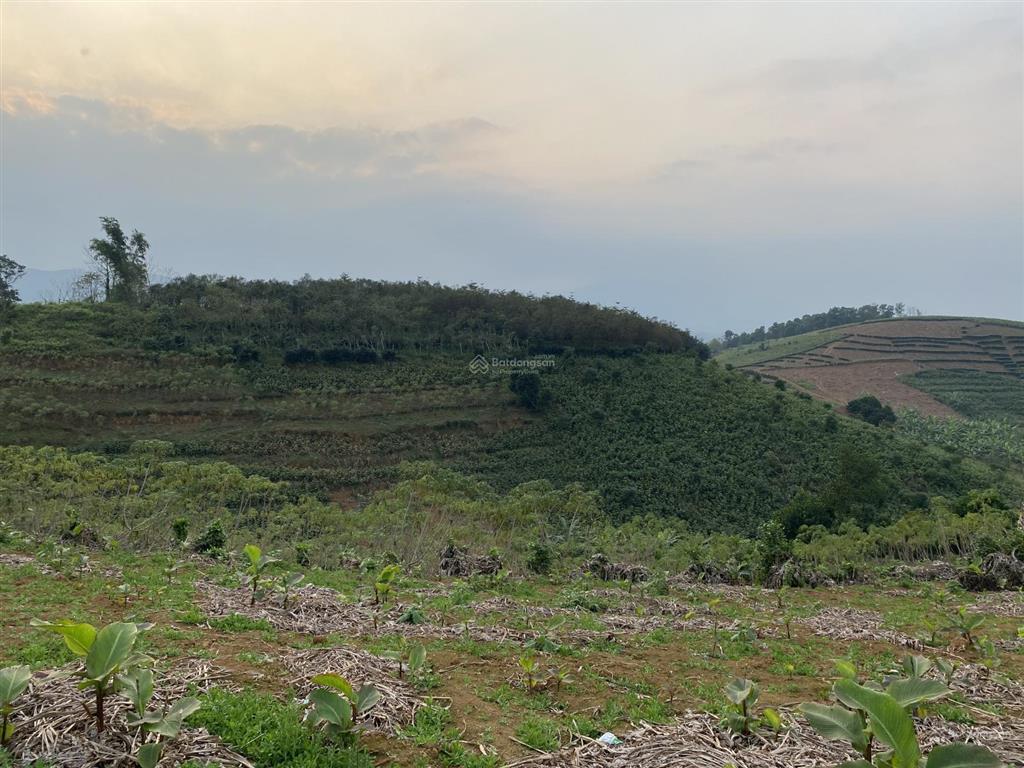 Siêu phẩm nghỉ dưỡng 2730m2 tại minh quang. hàng hiếm có, khó xuất hiện lần hai (có ảnh)