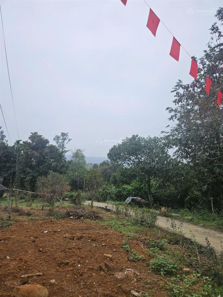 Tôi bán lô góc diện tích 1080m2, vuông vắn, cảnh quan đẹp, cạnh cánh đồng. có ảnh