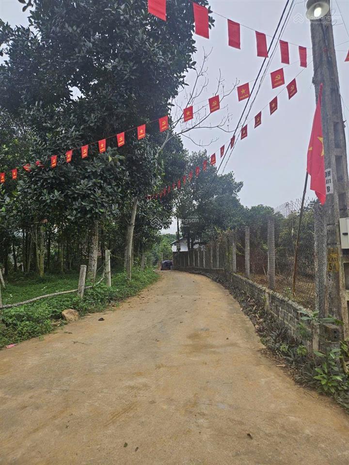 Tôi bán lô góc diện tích 1080m2, vuông vắn, cảnh quan đẹp, cạnh cánh đồng. có ảnh
