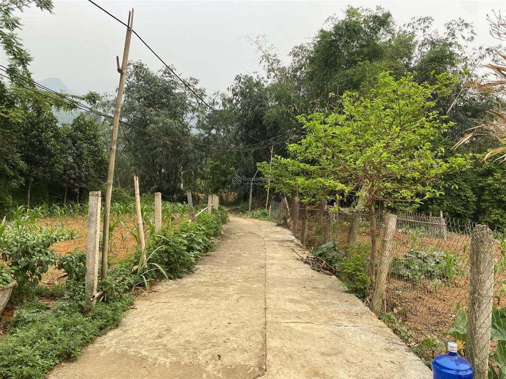 Tôi cần bán lô đất 2200m2 siêu đẹp tại thôn hợp sơn, ba vì. xung quanh rất nhiều farm, home rất đẹp
