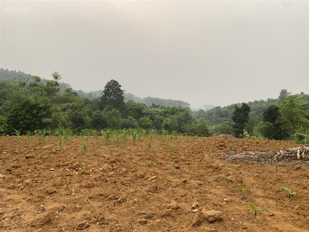 Tôi cần bán lô đất 2200m2 siêu đẹp tại thôn hợp sơn, ba vì. xung quanh rất nhiều farm, home rất đẹp