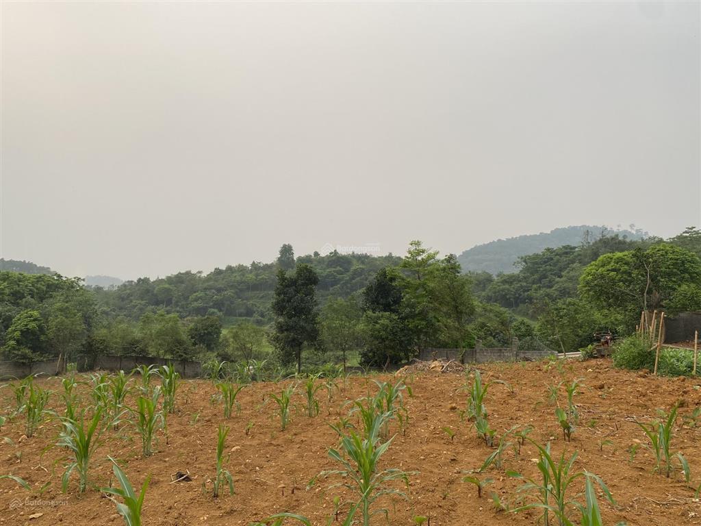 Tôi cần bán lô đất 2200m2 siêu đẹp tại thôn hợp sơn, ba vì. xung quanh rất nhiều farm, home rất đẹp