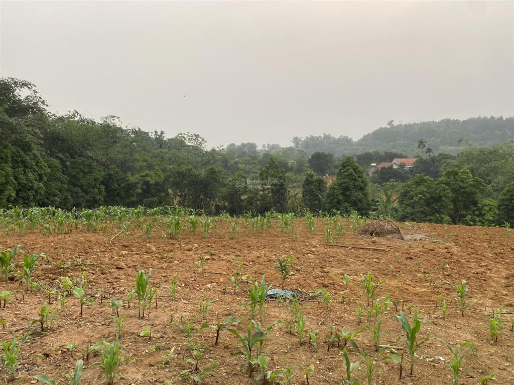 Tôi cần bán lô đất 2200m2 siêu đẹp tại thôn hợp sơn, ba vì. xung quanh rất nhiều farm, home rất đẹp