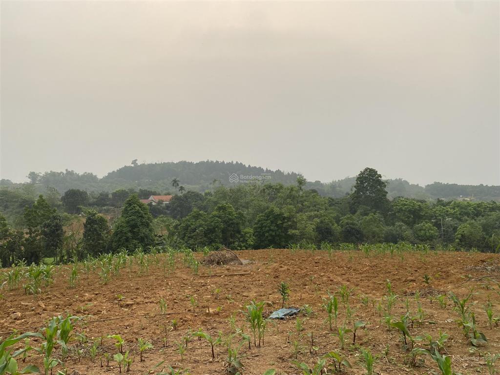 Tôi cần bán lô đất 2200m2 siêu đẹp tại thôn hợp sơn, ba vì. xung quanh rất nhiều farm, home rất đẹp
