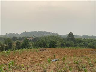 Tôi cần bán lô đất 2200m2 siêu đẹp tại thôn hợp sơn, ba vì. xung quanh có nhiều farm, home rất đẹp