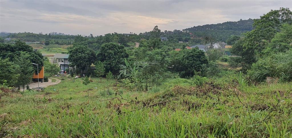 Tôi cần bán lô góc 1100m siêu đẹp thôn dy, ba vì. mặt đường nhựa view đồi núi ruộng đồng. có ảnh