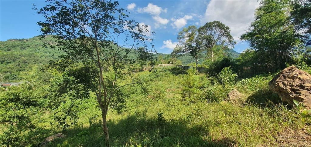 Tôi cần bán lô góc 1100m siêu đẹp thôn dy, ba vì. mặt đường nhựa view đồi núi ruộng đồng. có ảnh