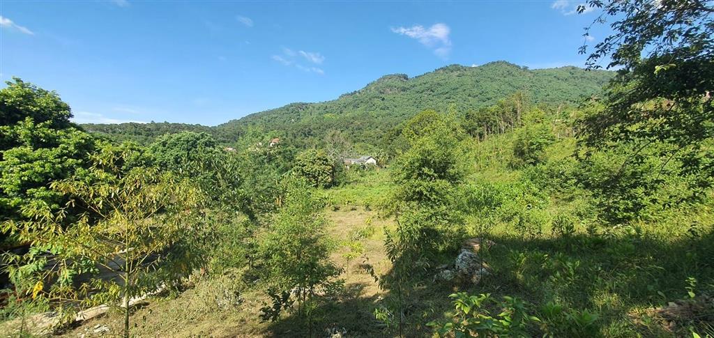 Tôi cần bán lô góc 1100m siêu đẹp thôn dy, ba vì. mặt đường nhựa view đồi núi ruộng đồng. có ảnh