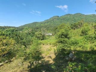Tôi cần bán lô góc 1100m siêu đẹp thôn dy, ba vì. mặt đường nhựa view đồi núi ruộng đồng. có ảnh